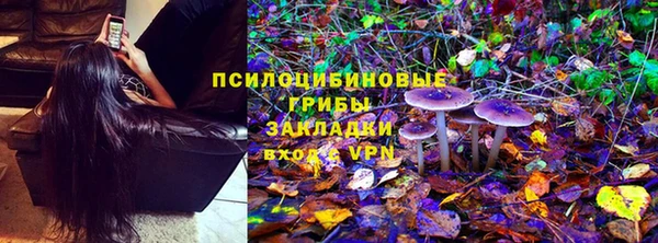дурь Алзамай