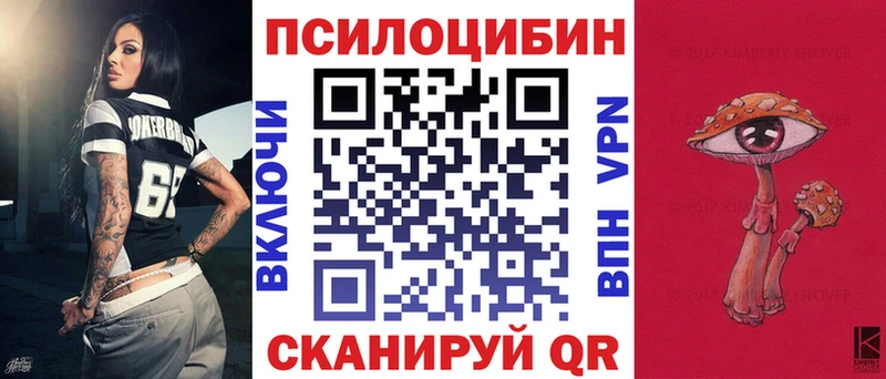 где продают   Краснослободск  Псилоцибиновые грибы прущие грибы 